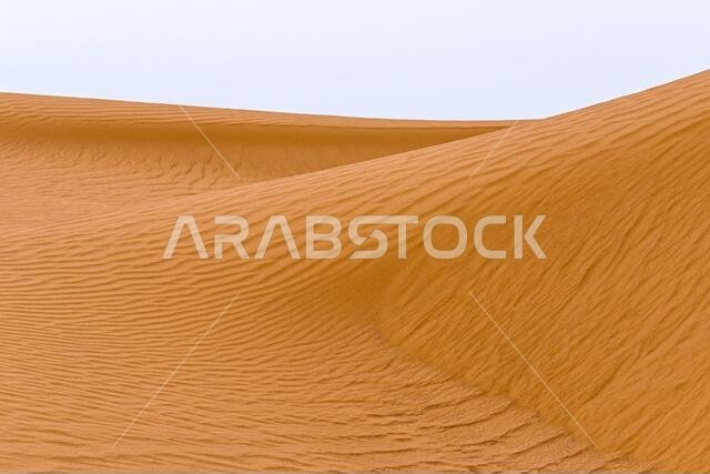 Bend of the ridge of a sand dune in the desert.