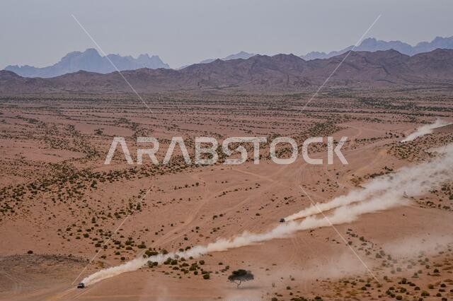 العلا، المملكة العربية السعودية. ١٣ يناير ٢٠٢١. #٣٨٤ بيرغونه جان ريمي (فرنسي)، بروسي جان (فرنسي)، بي إتش سبورت، بي إتش سبورت، نموذج المركبات الخفيفة - تي ٣، خلال المرحلة العاشرة من رالي داكار ٢٠٢١ بين نيوم والعلا، في المملكة العربية السعودية بتاريخ ١٣ يناير ٢٠٢١ - صورة إريك فارغيولو/DPPI/LM. حقوق الصورة: Gruppo Editoriale LiveMedia/Alamy Live News