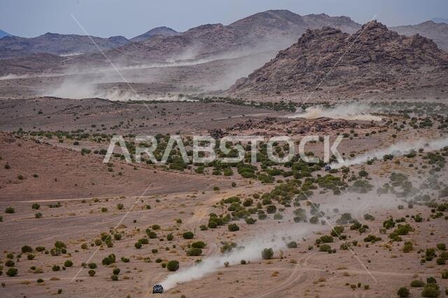 Al Ula, Saudi Arabia. 13th Jan, 2021. #410 Navarro Santiago (esp), Sola Terradellas Marc (esp), Can-Am, FN Speed Team, SSV Series - T4, action during the 10th stage of the Dakar 2021 between Neom and Al-Ê¿Ula, in Saudi Arabia on January 13, 2021 - Photo Eric Vargiolu/DPPI/LM Credit: Gruppo Editoriale LiveMedia/Alamy Live News