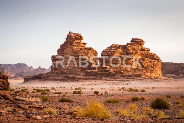 العلا، المملكة العربية السعودية. ١٣ يناير ٢٠٢١. منظر طبيعي خلال المرحلة العاشرة من رالي داكار ٢٠٢١ بين نيوم والعلا، في المملكة العربية السعودية بتاريخ ١٣ يناير ٢٠٢١ - صورة أنتونين فنسنت/DPPI/LM. حقوق الصورة: Gruppo Editoriale LiveMedia/Alamy Live News