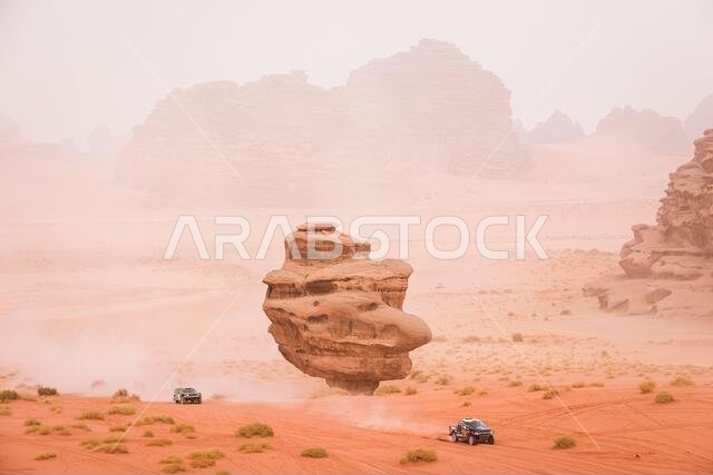 Al Ula, Saudi Arabia. 13th Jan, 2021. 328 Zapletal Miroslav (cze), Sykora Marek (svk), Ford, Offroadsport, Auto, action during the 10th stage of the Dakar 2021 between Neom and Al-Ula, in Saudi Arabia on January 13, 2021 - Photo Antonin Vincent/DPPI/LM Credit: Gruppo Editoriale LiveMedia/Alamy Live News