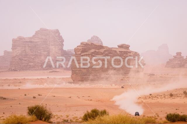 Al Ula, Saudi Arabia. 13th Jan, 2021. 422 Al Attiyah Nasser Khalifa (qat), Ceci Paolo (ita), Can-Am, South Racing Can-Am, Motul, SSV Series - T4, action during the 10th stage of the Dakar 2021 between Neom and Al-?Ula, in Saudi Arabia on January 13, 2021 - Photo Frederic Le Floc'h/DPPI/LM Credit: Gruppo Editoriale LiveMedia/Alamy Live News