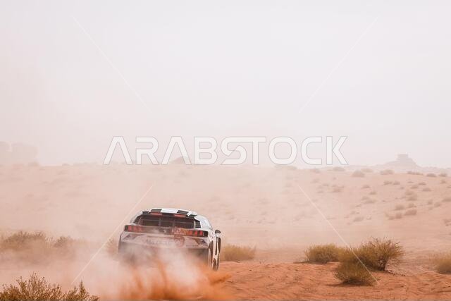 Al Ula, Saudi Arabia. 13th Jan, 2021. 310 Al Qassimi Sheikh Khalid (are), Panseri Xavier (fra), Peugeot, PH Sport, Abu Dhabi Racing, Auto, action during the 10th stage of the Dakar 2021 between Neom and Al-?Ula, in Saudi Arabia on January 13, 2021 - Photo Frederic Le Floc'h/DPPI/LM Credit: Gruppo Editoriale LiveMedia/Alamy Live News