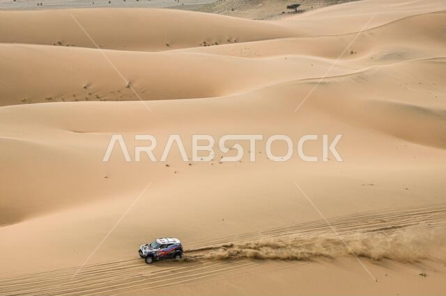 Yanbu, Saudi Arabia. 14th Jan 2021. #317 Vasilyev Vladimir (rus), Tsyro Dmitro (ukr), BMW, X-Raid Mini JCW Rally Team, Auto, action during the 11th stage of the Dakar 2021 between Al-aUla and Yanbu, in Saudi Arabia on January 14, 2021 - Photo Eric Vargiolu / DPPI / LM Credit: Gruppo Editoriale LiveMedia/Alamy Live News