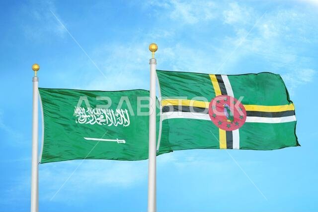 Saudi Arabia and Dominica two flags on flagpoles and blue cloudy sky