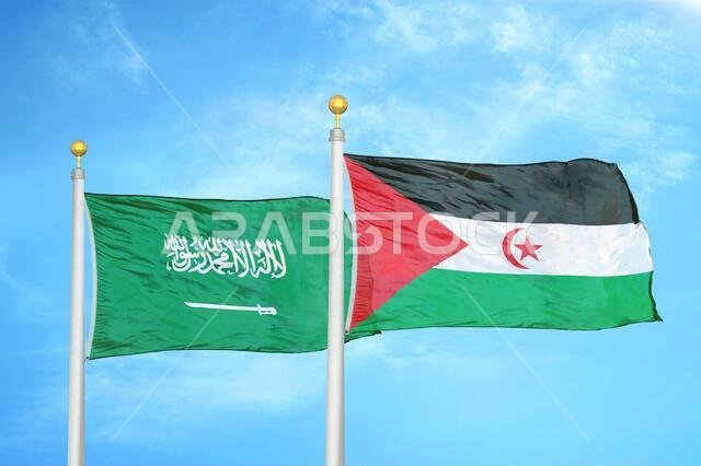 Saudi Arabia and Western Sahara two flags on flagpoles and blue cloudy sky