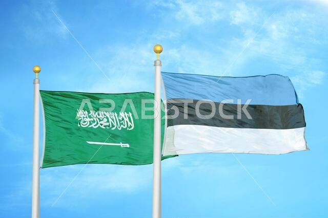 Saudi Arabia and Estonia two flags on flagpoles and blue cloudy sky