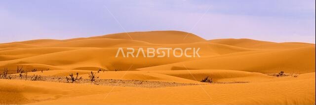 Bend of the ridge of a sand dune in the desert.