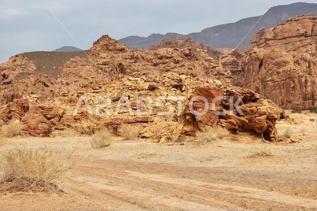 وادي الديسة، وادي الشق، المملكة العربية السعودية