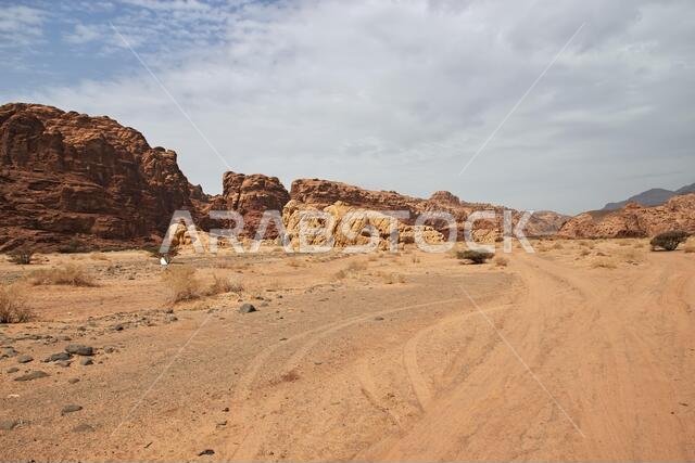 وادي الديسة، وادي الشق، المملكة العربية السعودية