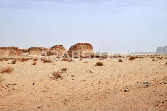 Nature in the desert close Al Ula, Saudi Arabia