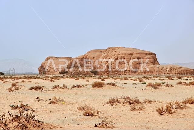 الطبيعة في الصحراء بالقرب من العلا، المملكة العربية السعودية
