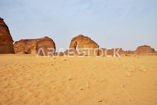 Stone Elephant in the desert close Al Ula, Saudi Arabia