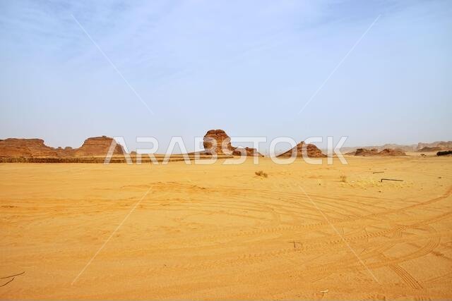 الطبيعة في الصحراء بالقرب من العلا، المملكة العربية السعودية