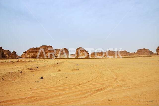 Stone Elephant in the desert close Al Ula, Saudi Arabia
