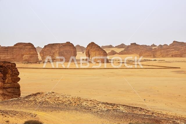فيل حجري في الصحراء بالقرب من العلا، المملكة العربية السعودية