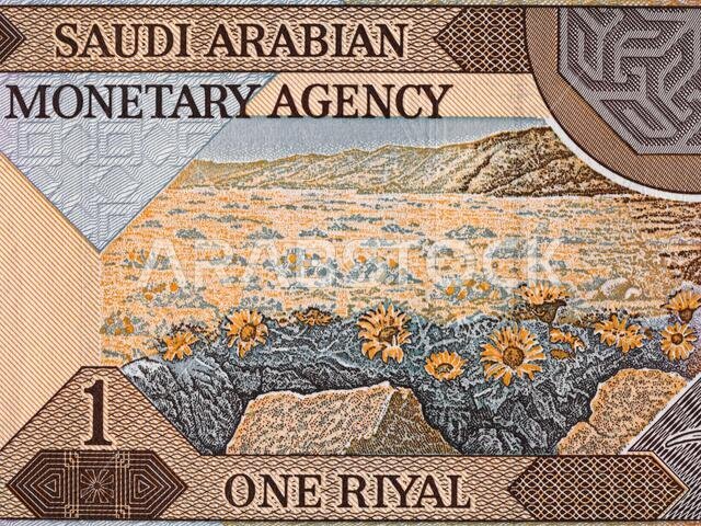 Saudi Arabia 1 riyal banknote reverse macro, natural scene with flowers, Saudi arabian money closeup Saudi Arabia 1 riyal banknote reverse macro, natural scene with flowers, Saudi arabian money closeup