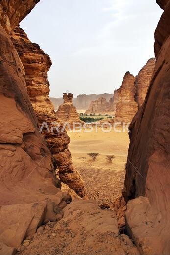 Nature in the desert close Al Ula, Saudi Arabia Nature in the desert close Al Ula, Saudi Arabia