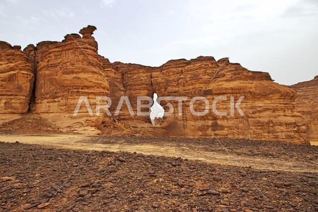 الطبيعة في الصحراء بالقرب من العلا، المملكة العربية السعودية
