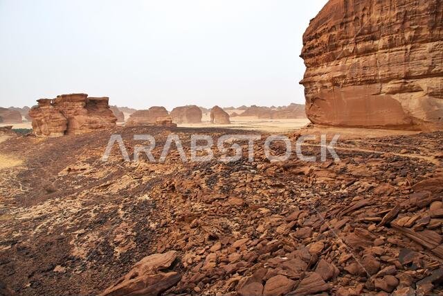 Nature in the desert close Al Ula, Saudi Arabia