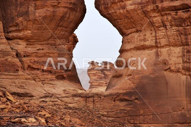 الطبيعة في الصحراء بالقرب من العلا، المملكة العربية السعودية