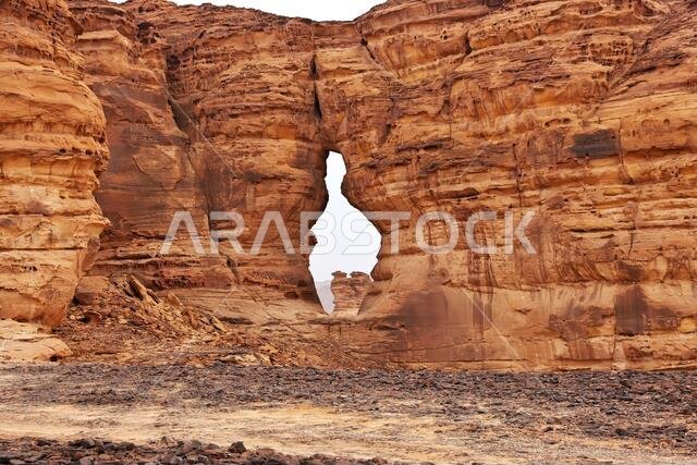 الطبيعة في الصحراء بالقرب من العلا، المملكة العربية السعودية