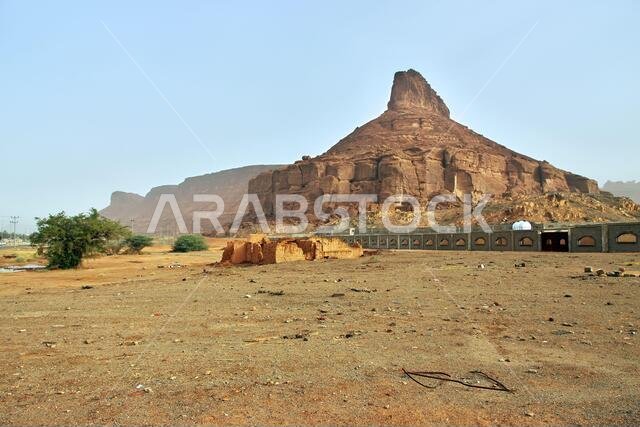الطبيعة في صحراء العلا، المملكة العربية السعودية