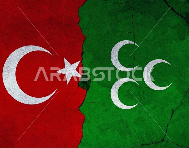 العلم التركي والعثماني، دراسة تصميم العلم
