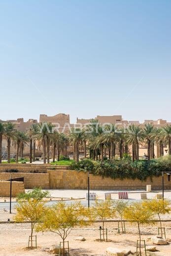 أشجار النخيل وآثار الدرعية، المعروفة أيضًا باسم الدرعية والدرعية، وهي بلدة في الرياض بالمملكة العربية السعودية، كانت الموطن الأصلي للعائلة المالكة السعودية، و