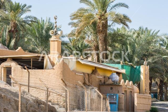 Green date trees growing in the park in the Ruins of Diraiyah, also as Dereyeh and Dariyya, a old town in Riyadh, Saudi Arabia