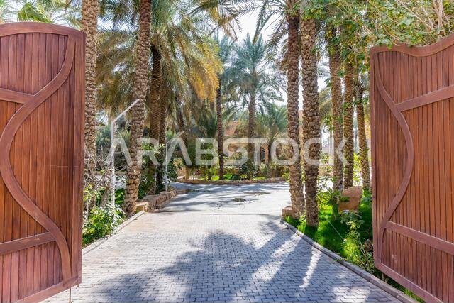 أشجار النخيل الخضراء تنمو في الحديقة الواقعة في أطلال الدرعية، المعروفة أيضاً باسم الدرعية والدرعية، وهي مدينة قديمة في الرياض، المملكة العربية السعودية