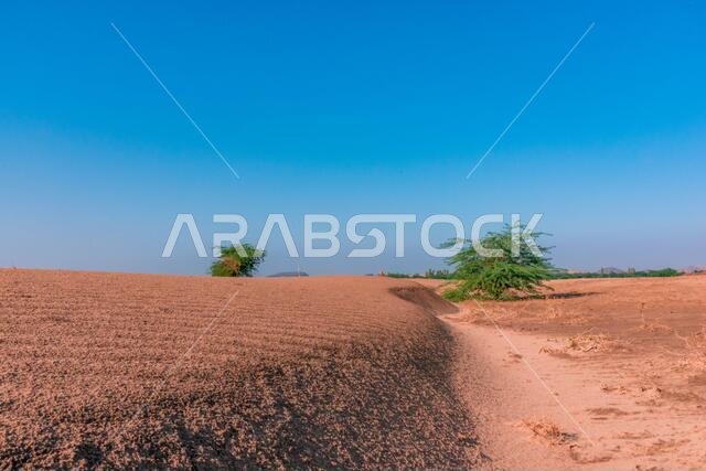 Desert view of Jeddah, Saudi Arabia