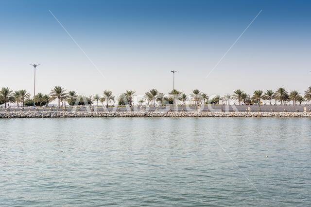 Blue sea and green date palm trees in the corniche park in Dammam, Saudi Arabia