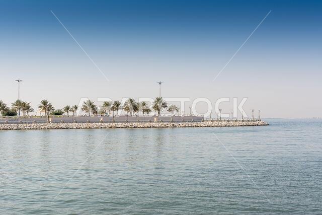 Blue sea and green date palm trees in the corniche park in Dammam, Saudi Arabia