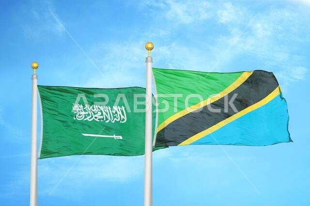 Saudi Arabia and Tanzania two flags on flagpoles and blue cloudy sky