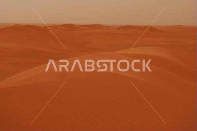 Riyadh Desert