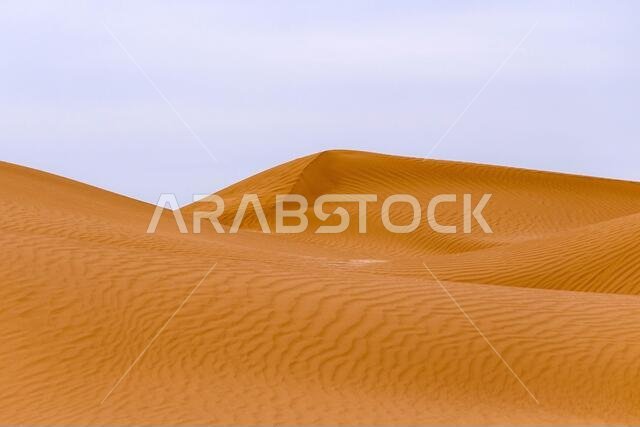 Bend of the ridge of a sand dune in the desert.
