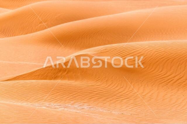 Bend of the ridge of a sand dune in the desert.