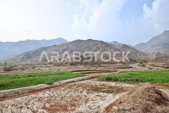 الحصن القديم في جبال الحجاز، منطقة مكة المكرمة، المملكة العربية السعودية