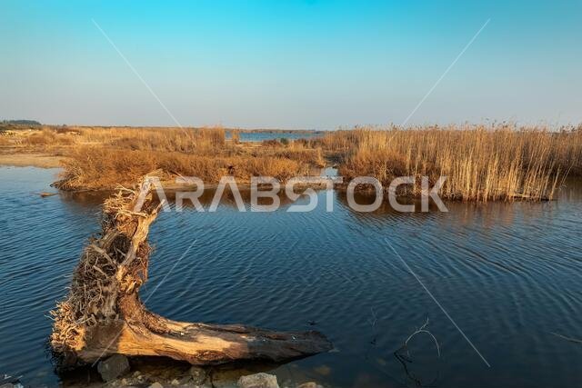 Water body near Kafra desert Area in Saudi Arabia.