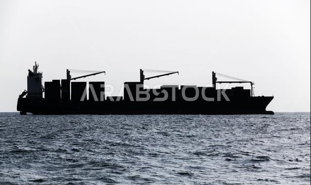 Container ship goes on sea. Blue toned silhouette photo