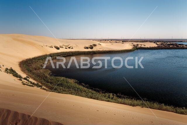 البحيرة الصفراء في صحراء المملكة العربية السعودية