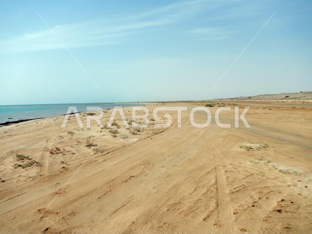 The beach of Red sea, Saudi arabia