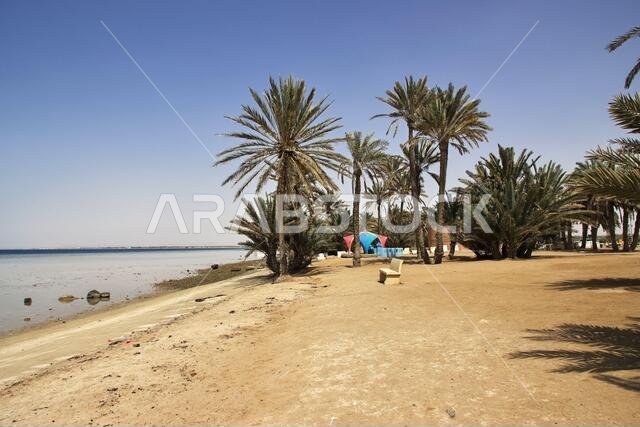 The beach of Red sea, Saudi arabia