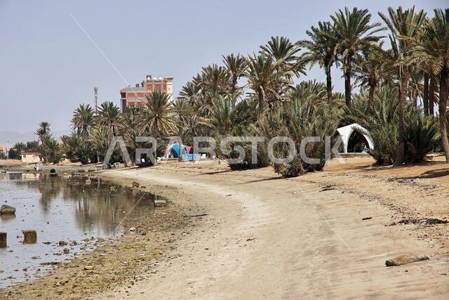 The beach of Red sea, Saudi arabia