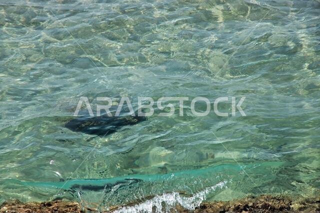 The view of Red sea, Saudi arabia