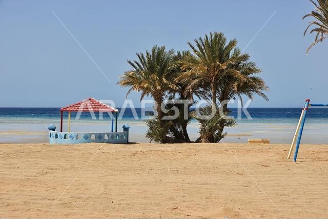 The beach of Red sea, Saudi arabia