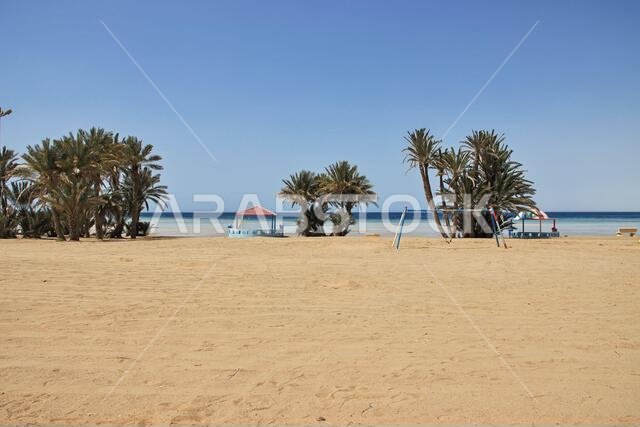 The beach of Red sea, Saudi arabia