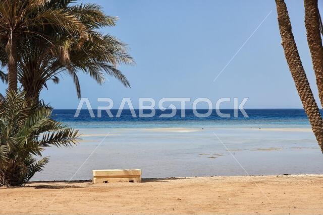 The beach of Red sea, Saudi arabia