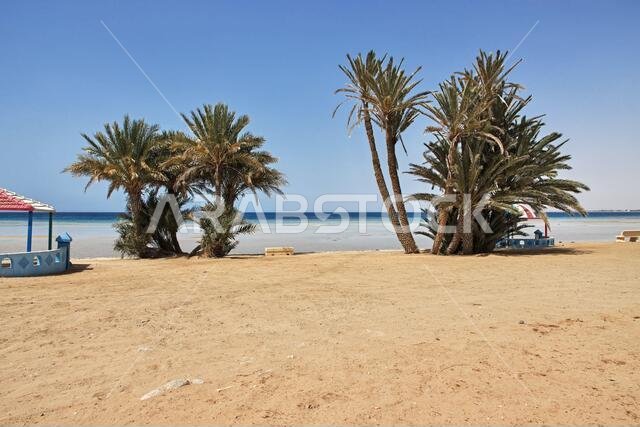 The beach of Red sea, Saudi arabia
